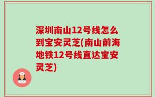 深圳南山12号线怎么到宝安灵芝(南山前海地铁12号线直达宝安灵芝)