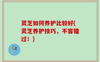 灵芝如何养护比较好(灵芝养护技巧，不容错过！)
