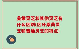 桑黄灵芝和其他灵芝有什么区别(区分桑黄灵芝和普通灵芝的特点)