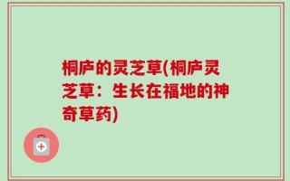 桐庐的灵芝草(桐庐灵芝草：生长在福地的神奇草药)
