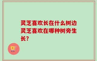 灵芝喜欢长在什么树边灵芝喜欢在哪种树旁生长？