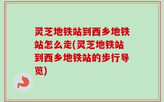 灵芝地铁站到西乡地铁站怎么走(灵芝地铁站到西乡地铁站的步行导览)