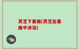 灵芝下暴雨(灵芝在暴雨中沐浴)