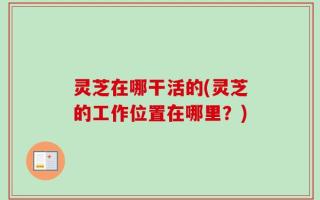 灵芝在哪干活的(灵芝的工作位置在哪里？)