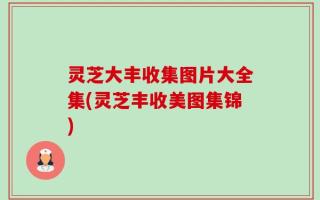 灵芝大丰收集图片大全集(灵芝丰收美图集锦)