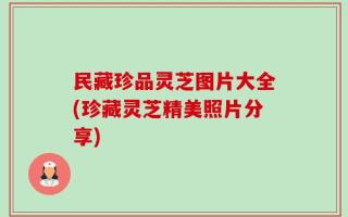 民藏珍品灵芝图片大全(珍藏灵芝精美照片分享)