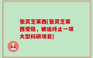 张灵芝莱西(张灵芝莱西受阻，被迫终止一项大型科研项目)