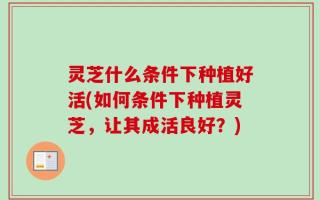 灵芝什么条件下种植好活(如何条件下种植灵芝，让其成活良好？)