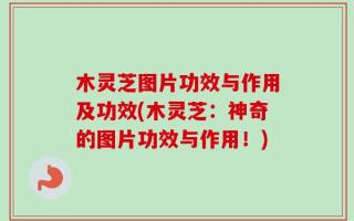 木灵芝图片功效与作用及功效(木灵芝：神奇的图片功效与作用！)