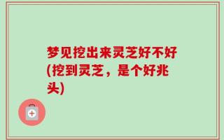 梦见挖出来灵芝好不好(挖到灵芝，是个好兆头)