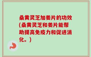 桑黄灵芝加姜片的功效(桑黄灵芝和姜片能帮助提高免疫力和促进消化。)