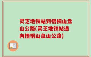 灵芝地铁站到梧桐山盘山公路(灵芝地铁站通向梧桐山盘山公路)