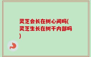 灵芝会长在树心间吗(灵芝生长在树干内部吗)