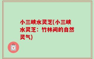 小三峡水灵芝(小三峡水灵芝：竹林间的自然灵气)