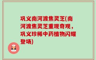 巩义南河渡焦灵芝(南河渡焦灵芝重现奇观，巩义珍稀中药植物闪耀登场)