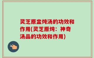 灵芝原盅炖汤的功效和作用(灵芝原炖：神奇汤品的功效和作用)