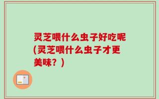 灵芝喂什么虫子好吃呢(灵芝喂什么虫子才更美味？)