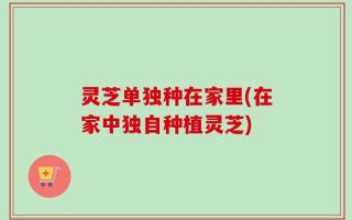 灵芝单独种在家里(在家中独自种植灵芝)