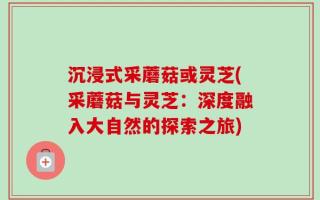 沉浸式采蘑菇或灵芝(采蘑菇与灵芝：深度融入大自然的探索之旅)