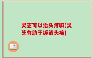 灵芝可以治头疼嘛(灵芝有助于缓解头痛)