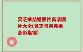 灵芝娘结婚照片高清图片大全(灵芝母亲完婚合影集锦)