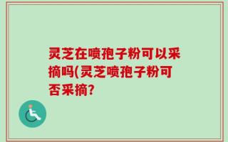 灵芝在喷孢子粉可以采摘吗(灵芝喷孢子粉可否采摘？