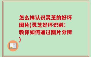 怎么样认识灵芝的好坏图片(灵芝好坏识别：教你如何通过图片分辨)