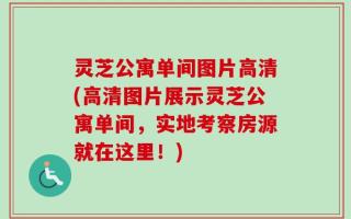 灵芝公寓单间图片高清(高清图片展示灵芝公寓单间，实地考察房源就在这里！)