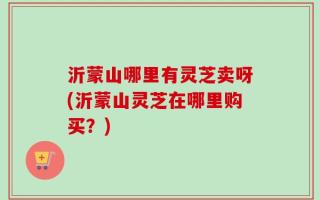 沂蒙山哪里有灵芝卖呀(沂蒙山灵芝在哪里购买？)