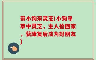 带小狗采灵芝(小狗寻草中灵芝，主人捡回家，获康复后成为好朋友)