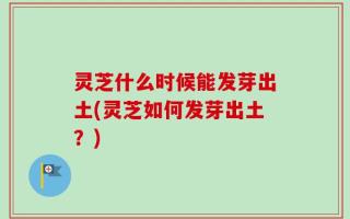 灵芝什么时候能发芽出土(灵芝如何发芽出土？)