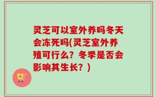 灵芝可以室外养吗冬天会冻死吗(灵芝室外养殖可行么？冬季是否会影响其生长？)