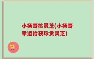 小扬哥捡灵芝(小扬哥幸运拾获珍贵灵芝)