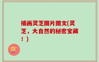 插画灵芝图片图文(灵芝，大自然的秘密宝藏！)