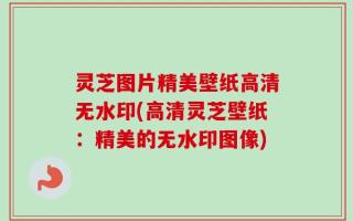灵芝图片精美壁纸高清无水印(高清灵芝壁纸：精美的无水印图像)