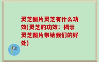 灵芝图片灵芝有什么功效(灵芝的功效：揭示灵芝图片带给我们的好处)