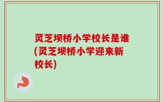 灵芝坝桥小学校长是谁(灵芝坝桥小学迎来新校长)