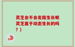 灵芝会不会走路生长呢灵芝属于动态生长的吗？)