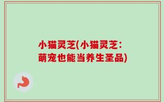 小猫灵芝(小猫灵芝：萌宠也能当养生圣品)