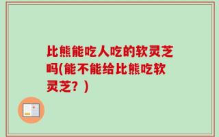 比熊能吃人吃的软灵芝吗(能不能给比熊吃软灵芝？)