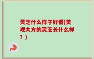 灵芝什么样子好看(美观大方的灵芝长什么样？)