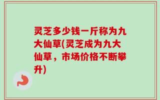 灵芝多少钱一斤称为九大仙草(灵芝成为九大仙草，市场价格不断攀升)