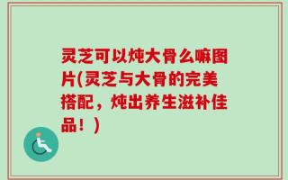 灵芝可以炖大骨么嘛图片(灵芝与大骨的完美搭配，炖出养生滋补佳品！)