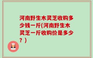 河南野生木灵芝收购多少钱一斤(河南野生木灵芝一斤收购价是多少？)