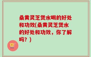 桑黄灵芝煲水喝的好处和功效(桑黄灵芝煲水的好处和功效，你了解吗？)