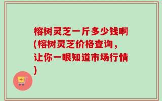 榕树灵芝一斤多少钱啊(榕树灵芝价格查询，让你一眼知道市场行情)