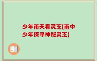 少年雨天看灵芝(雨中少年探寻神秘灵芝)