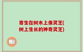寄生在树木上像灵芝(树上生长的神奇灵芝)