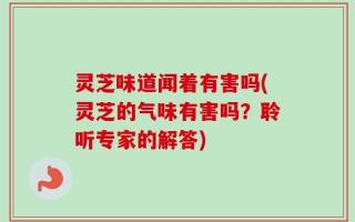 灵芝味道闻着有害吗(灵芝的气味有害吗？聆听专家的解答)