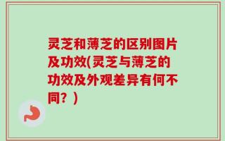灵芝和薄芝的区别图片及功效(灵芝与薄芝的功效及外观差异有何不同？)